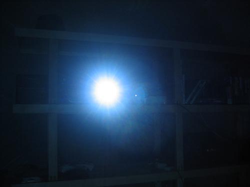 Bulb